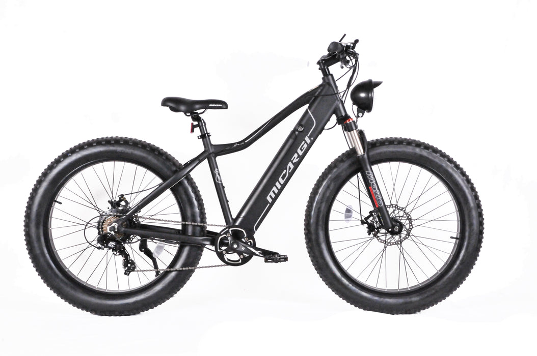 Micargi Steed Electric Mountain Bicycle   EB-STEED